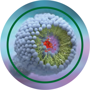 Liposomiali